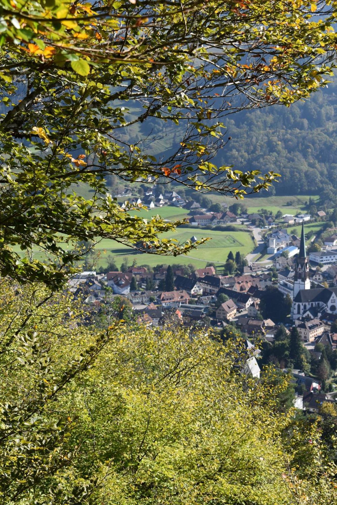 Gartenferienhaus "Annaluise" Schönau im Schwarzwald Exterior photo