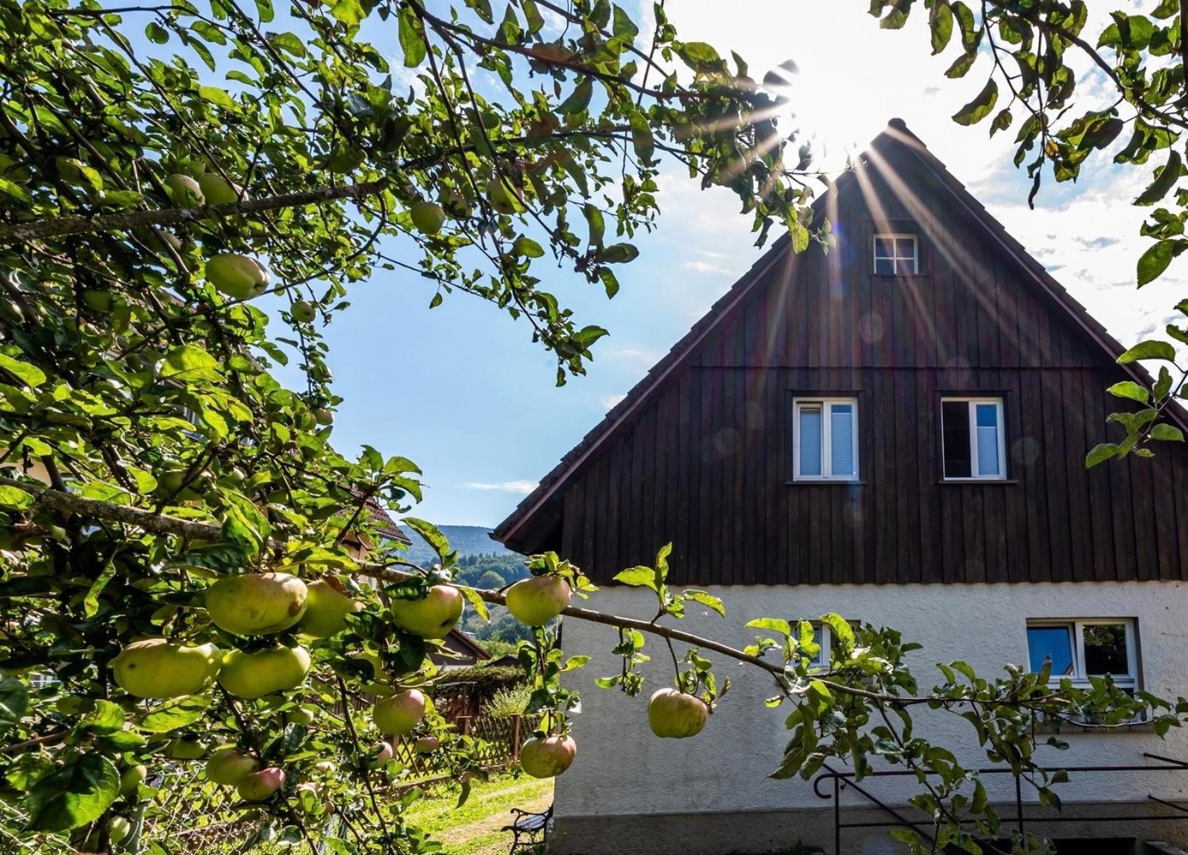 Gartenferienhaus "Annaluise" Schönau im Schwarzwald Exterior photo