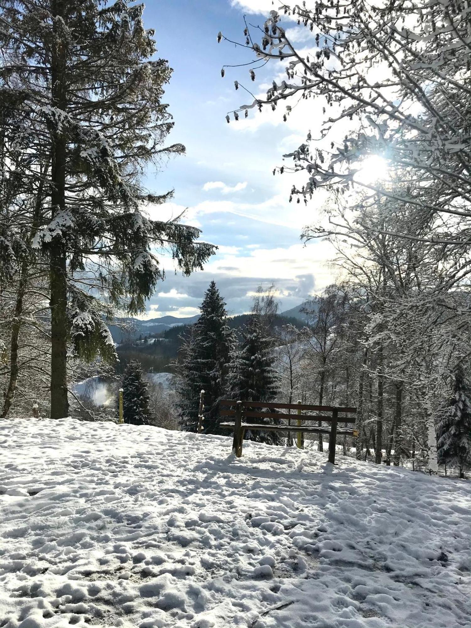 Gartenferienhaus "Annaluise" Schönau im Schwarzwald Exterior photo